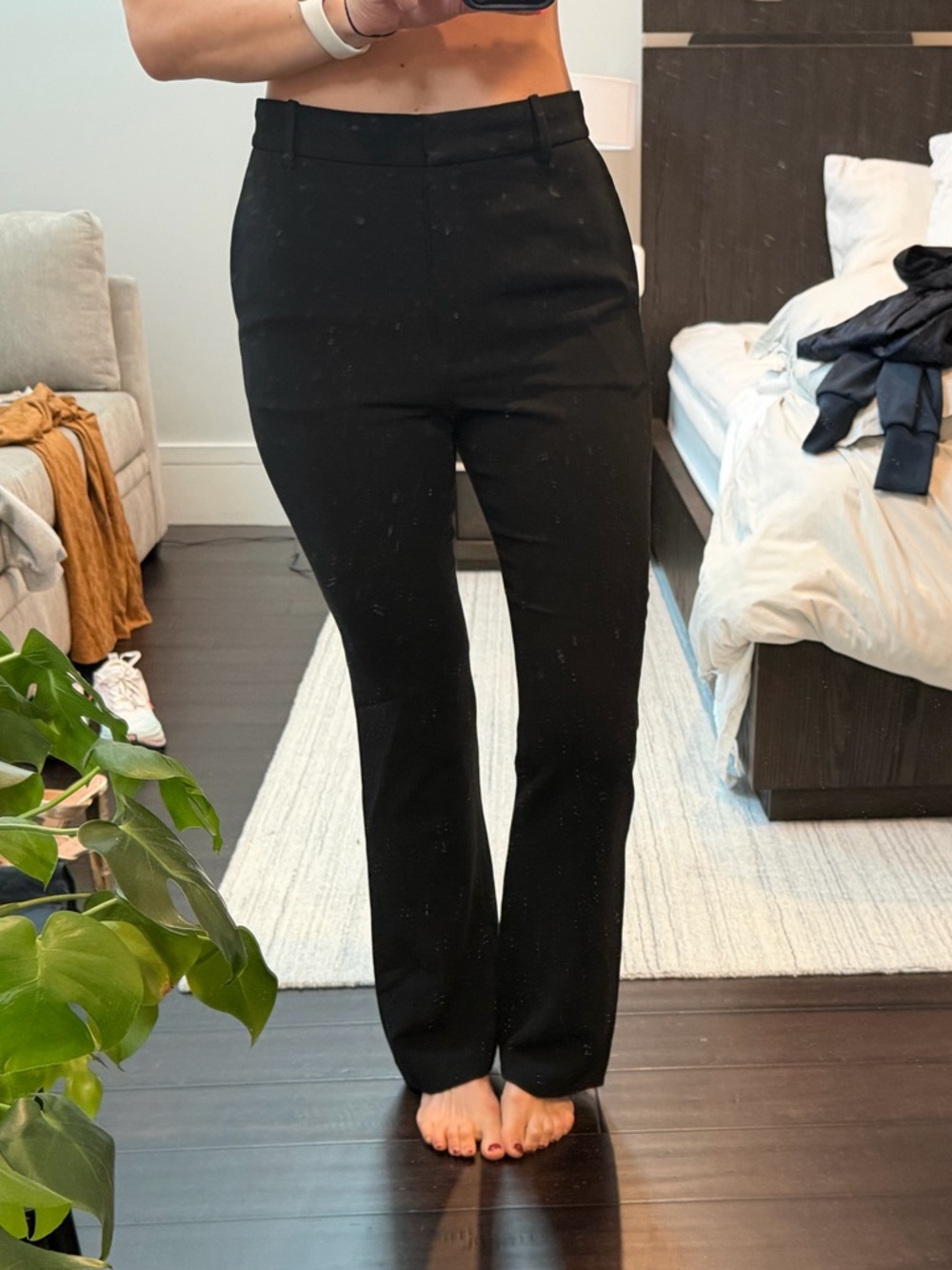 Aritzia Babaton flared Women's Dress Pants
